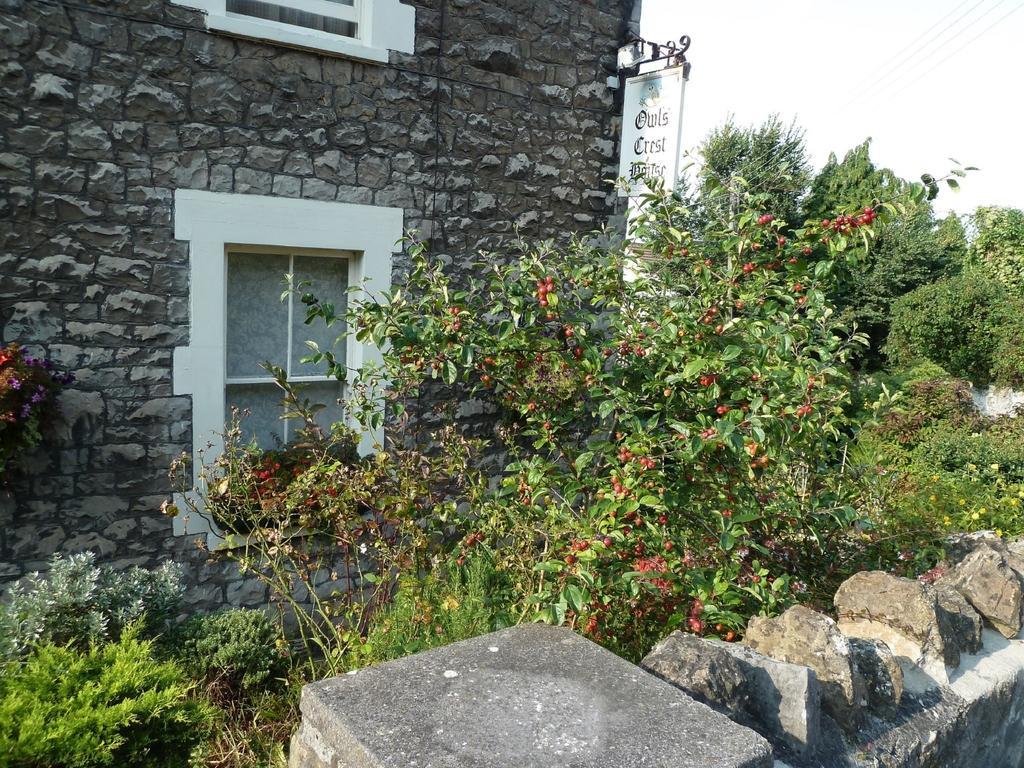 The Owls Crest House B&B Weston-super-Mare Exterior photo